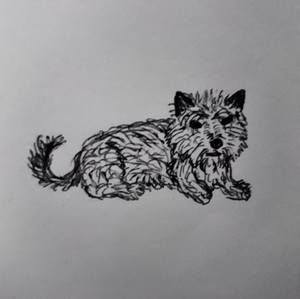 Meet your Posher, Sophrona